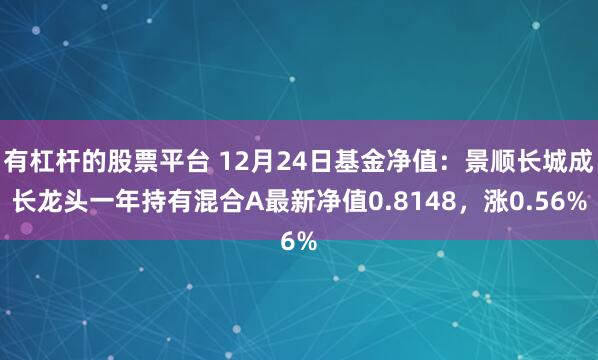 有杠杆的股票平台 12月24日基金净值：景顺长城成长龙头一年持有混合A最新净值0.8148，涨0.56%