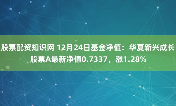 股票配资知识网 12月24日基金净值：华夏新兴成长股票A最新净值0.7337，涨1.28%