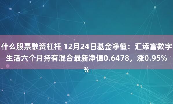 什么股票融资杠杆 12月24日基金净值：汇添富数字生活六个月持有混合最新净值0.6478，涨0.95%