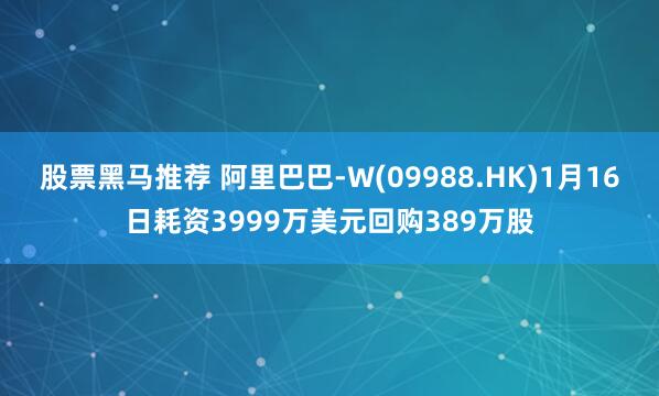 股票黑马推荐 阿里巴巴-W(09988.HK)1月16日耗资3999万美元回购389万股