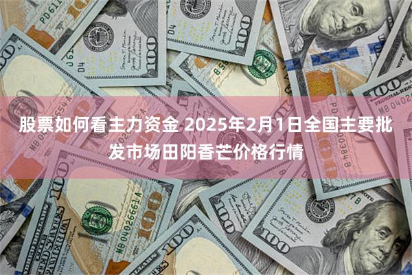 股票如何看主力资金 2025年2月1日全国主要批发市场田阳香芒价格行情