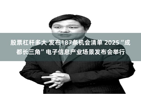 股票杠杆多大 发布187条机会清单 2025“成都长三角”电子信息产业场景发布会举行