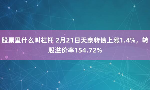 股票里什么叫杠杆 2月21日天奈转债上涨1.4%，转股溢价率154.72%